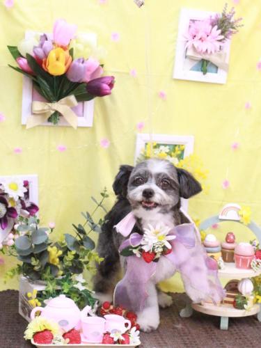 20230322ちょこくん